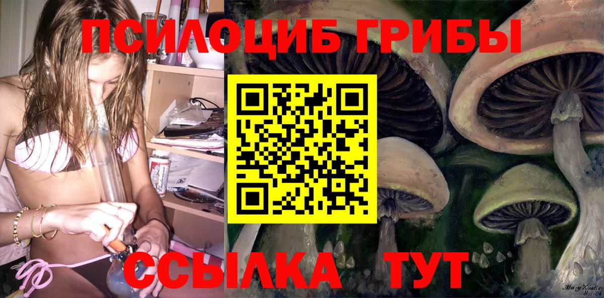 Галлюциногенные грибы Cubensis Севастополь