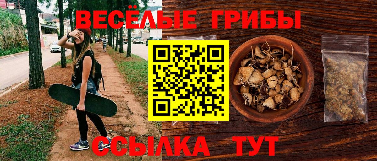 Севастополь  Галлюциногенные грибы Psilocybe  Вход с VPN 